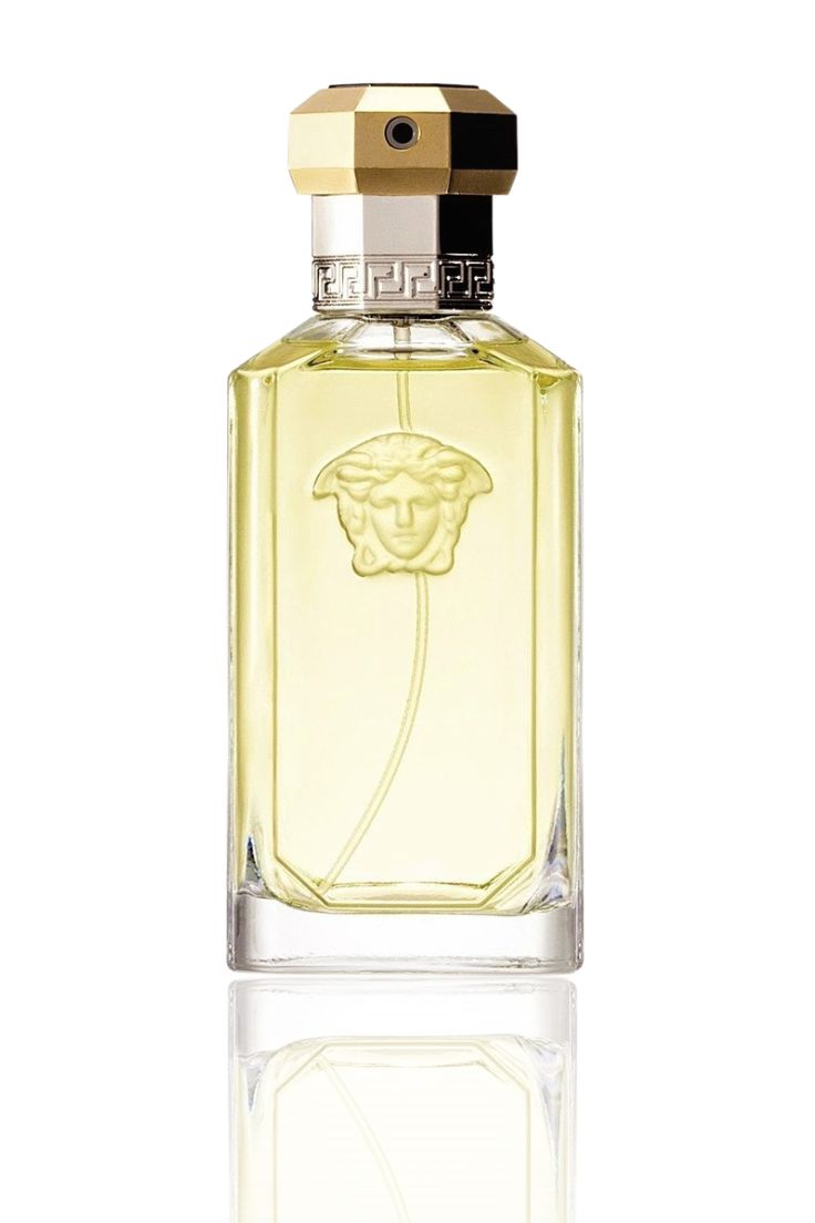 Homage to Versace Dreamer