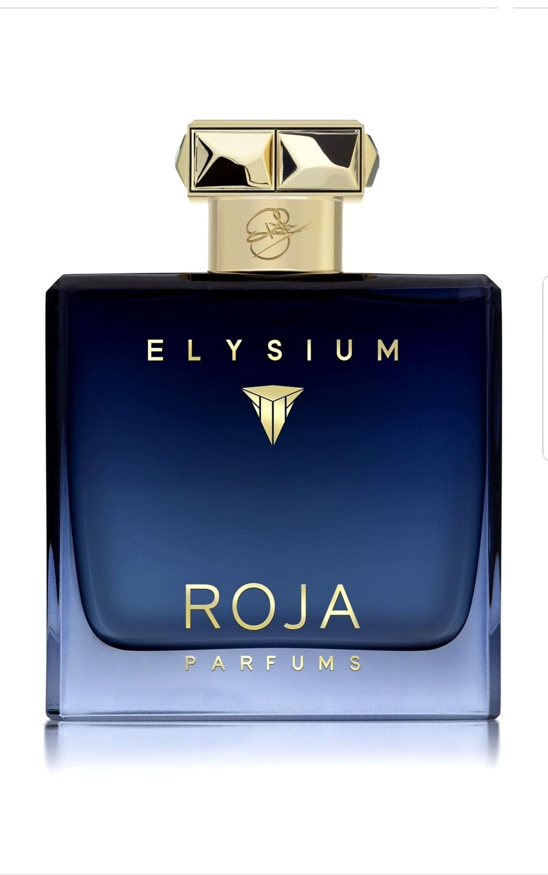 Homage to Roja Elysium