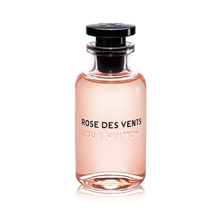 Homage To Louis Vuitton Rose des Vent